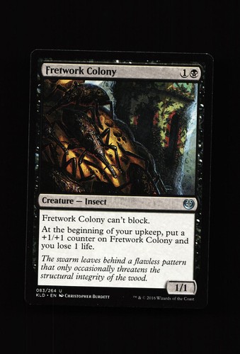 Fretwork colony magic - lp,
