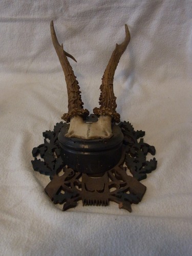 Deer antler black forest - deer,